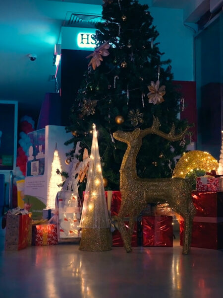 A Festive Christmas Wonderland Crafted Overnight